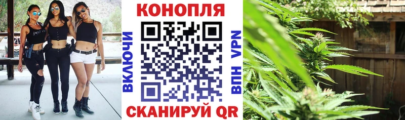 Бошки Шишки THC 21%  Беломорск 